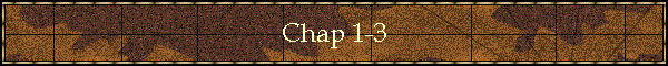 Chap 1-3